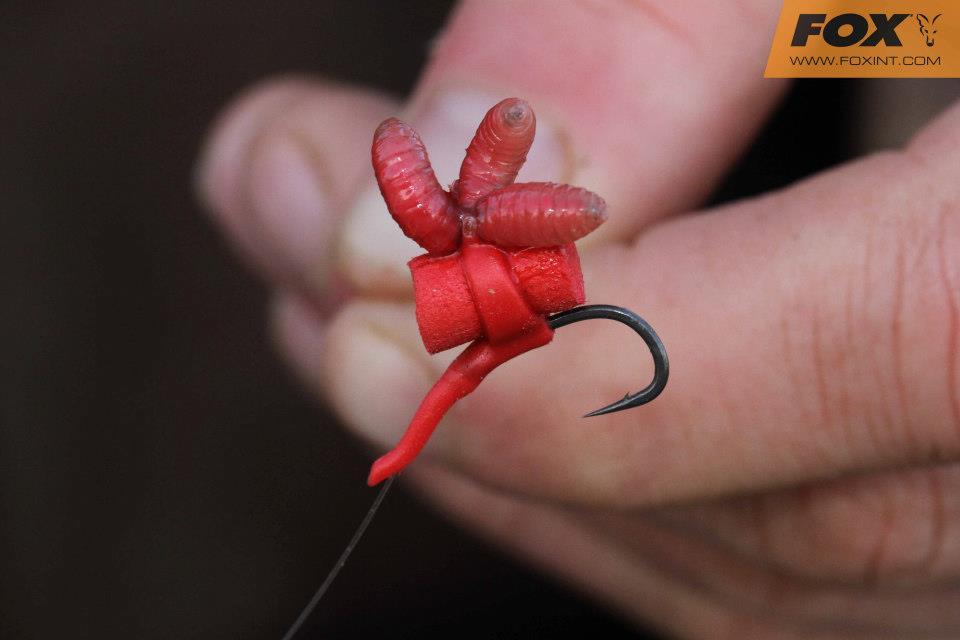 Diverse - 529789494204287303824630507259n.jpg